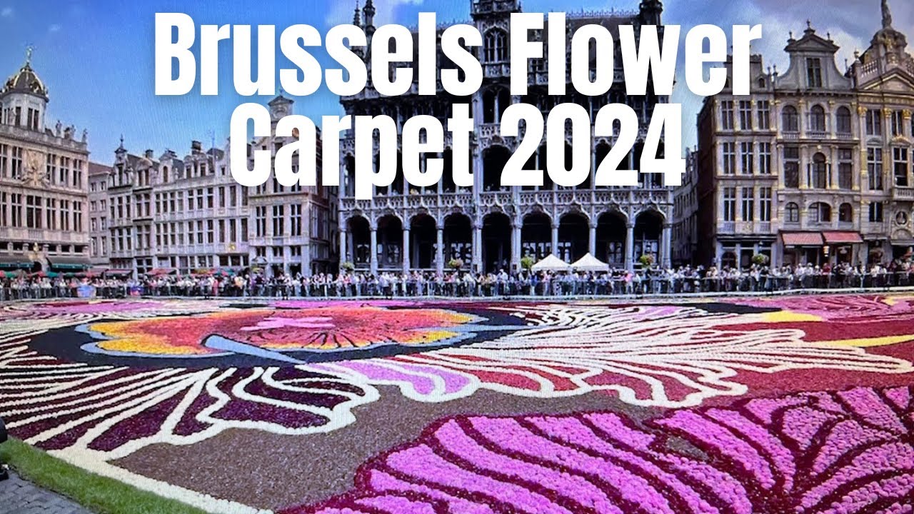 Brussels Flower Carpet 2024