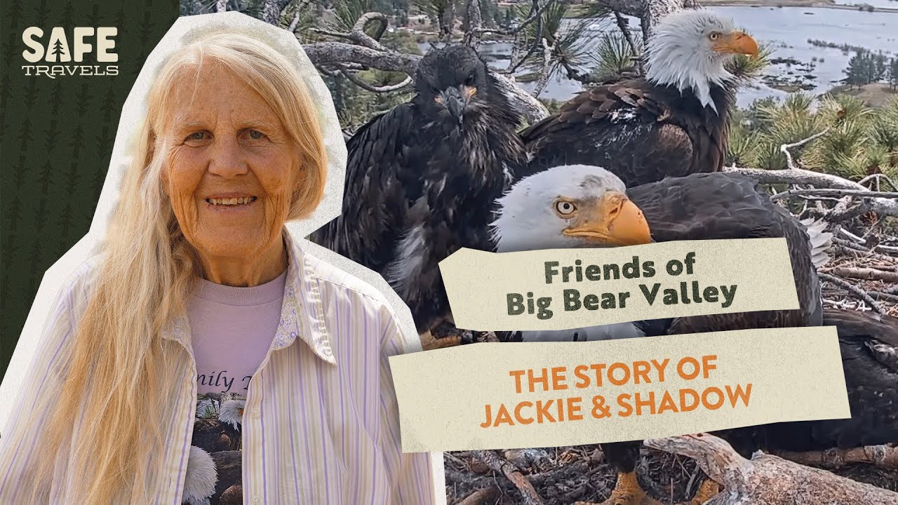 Friends of Big Bear Valley: The Story of Jackie & Shadow with Sandy Steers