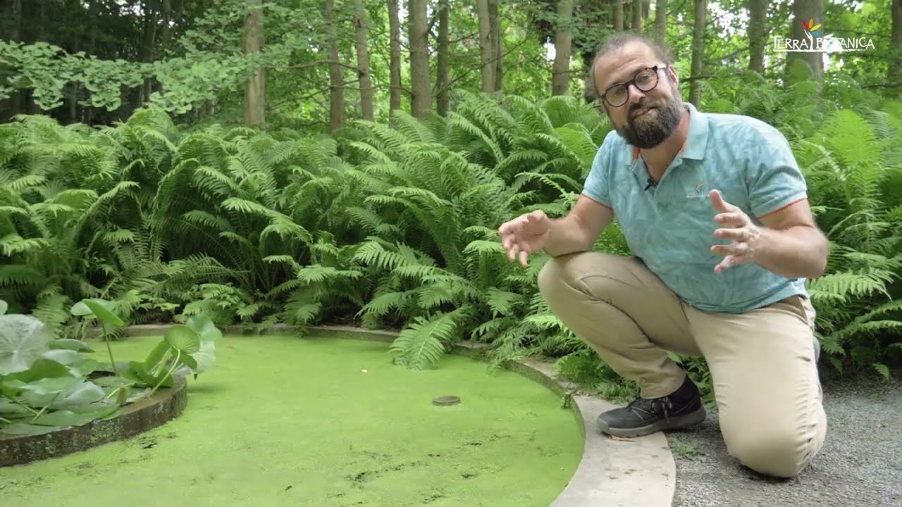 Le biomimétisme présent à Terra Botanica