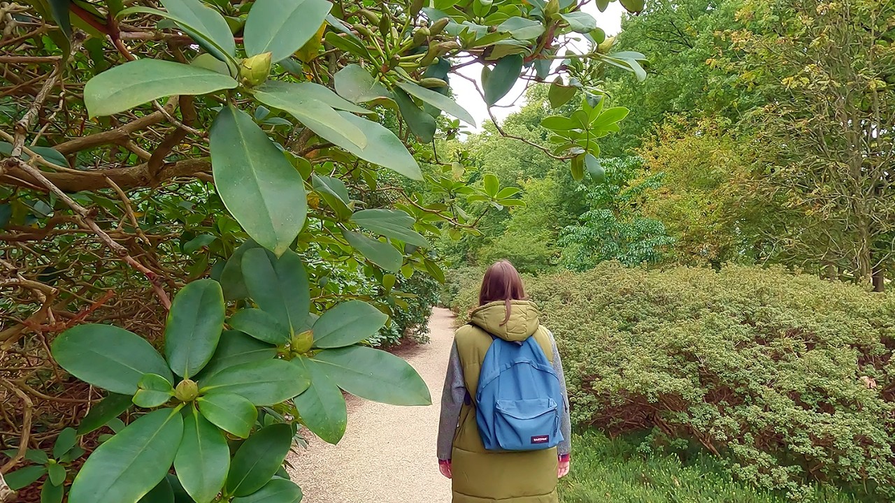 Discover Belmonte Arboretum | A Botanical Gem on the Wageningse Berg