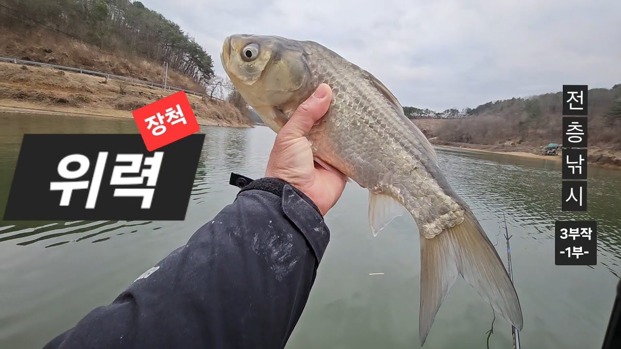 [1부]낚시는 거리 싸움인가? 몇 발짝 차이인데... 좋은 경험했습니다! #전층낚시 #올림낚시