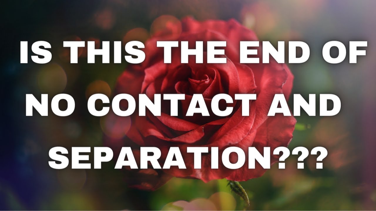 Love Tarot Today - Is this the end of no contact AND separation???