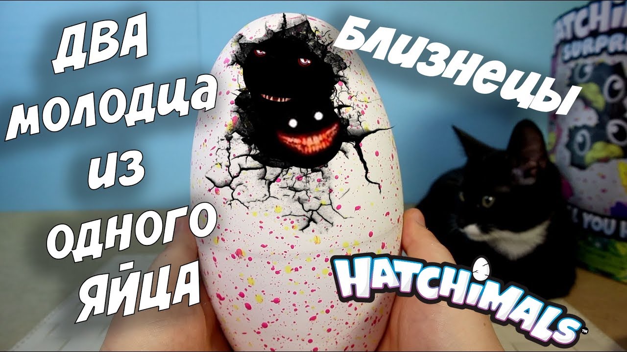 ХЭТЧИМАЛС ДВОЙНЯШКИ БЛИЗНЕЦЫ HATCHIMALS Twin Полное вылупление