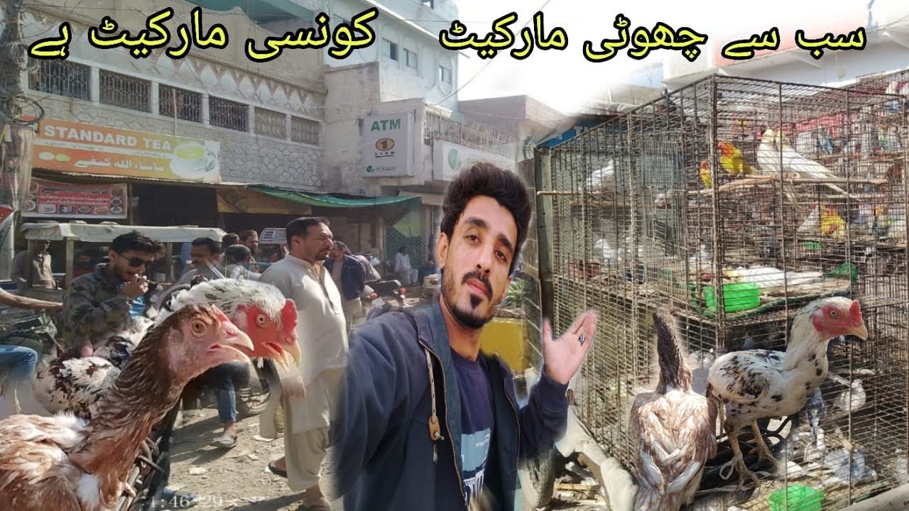 Konse Market Hai! Sub Sa Small Market 