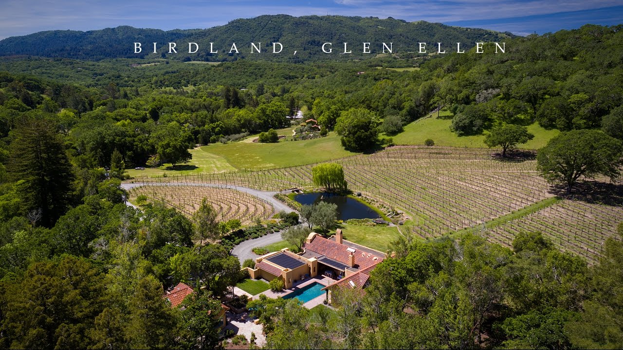 Tina Shone presents Birdland, Glen Ellen