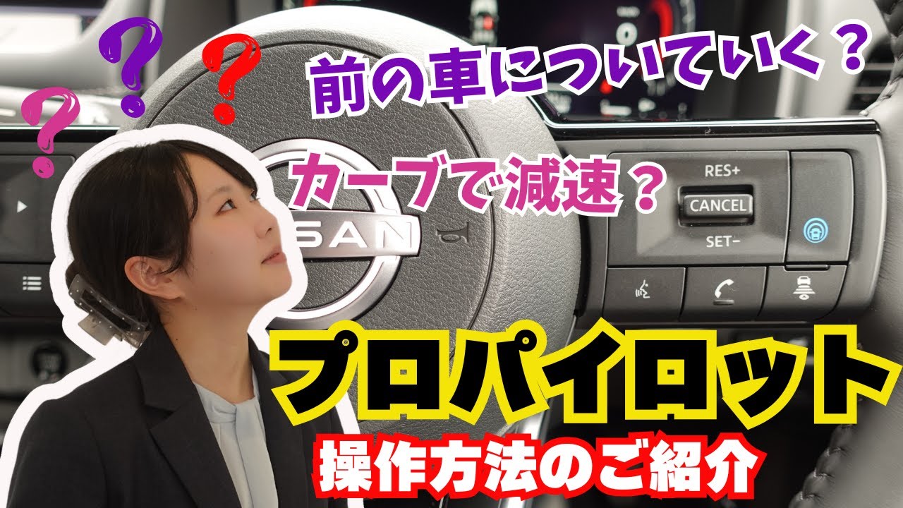 【プロパイロット】の操作方法をご紹介！！やっぱいプロパイロットは便利かね～