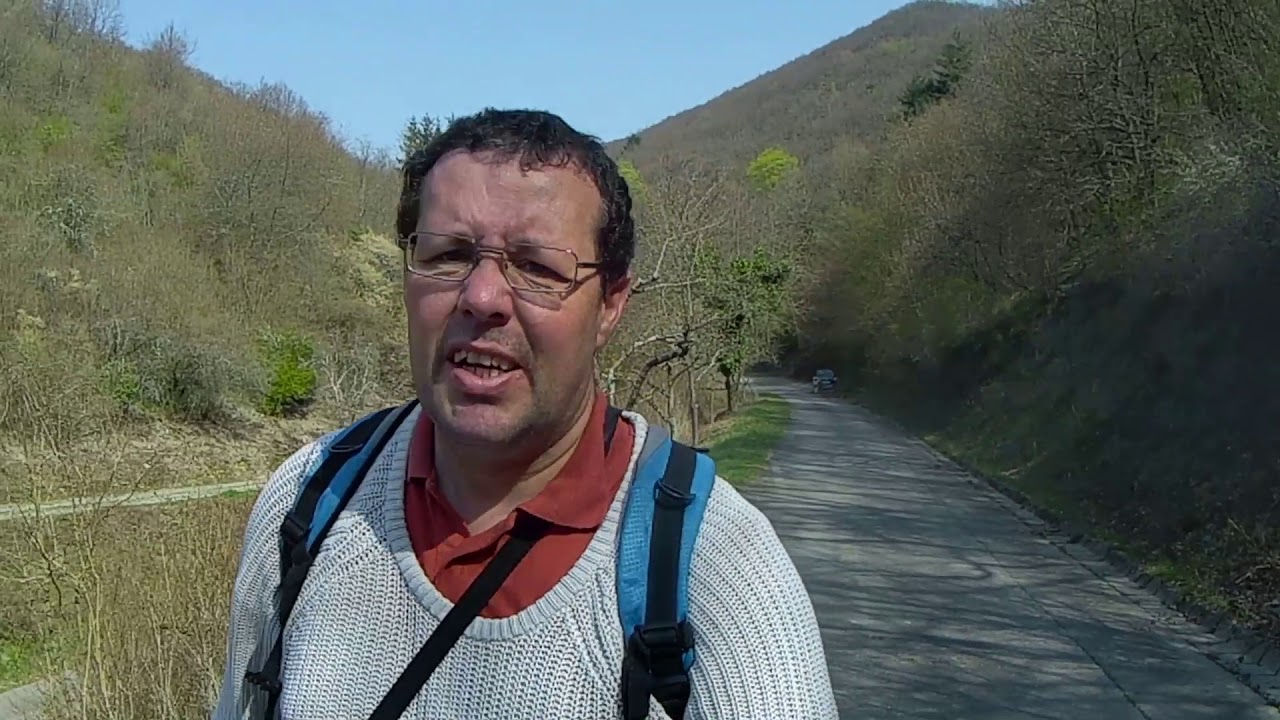 Durch die H&auml;nge von Lorch am Rhein