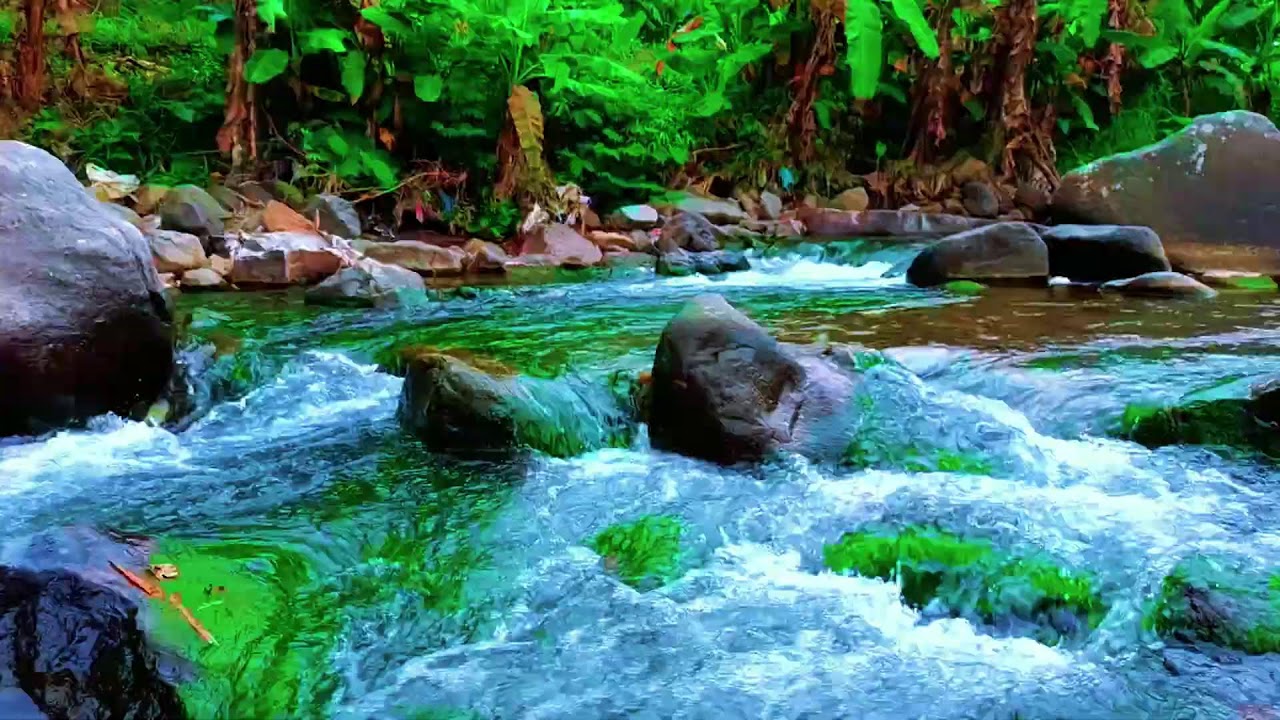 Soothing River Flow Soundscape for Deep Sleep and Inner Peace