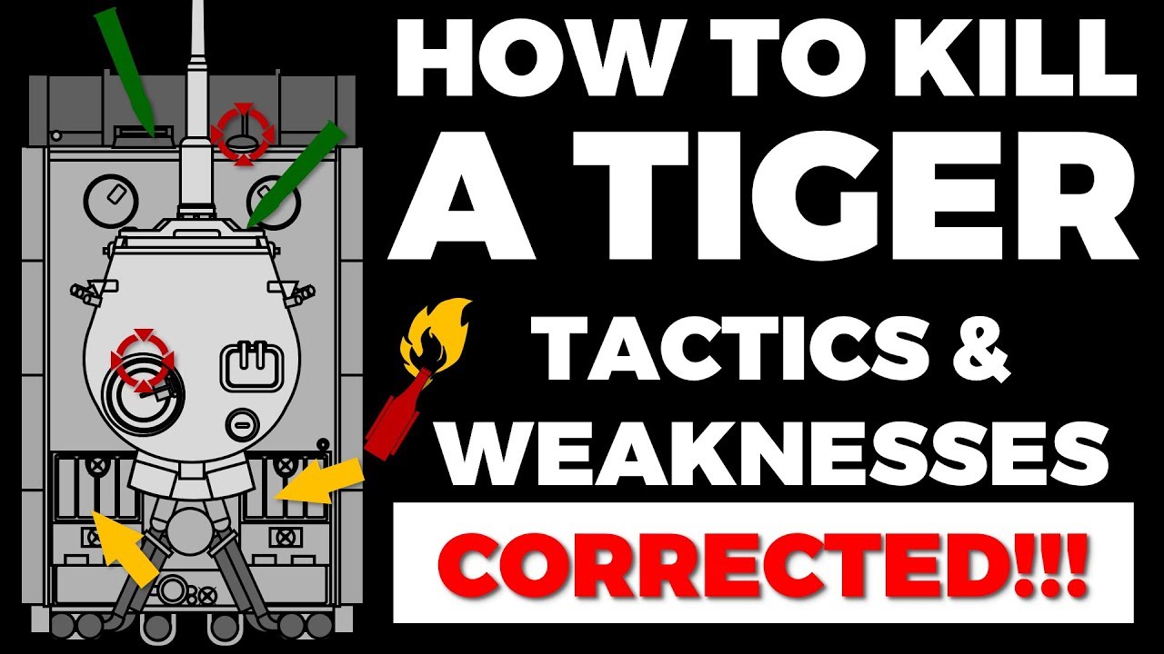 How to fight Tigers - Tactics & Weaknesses