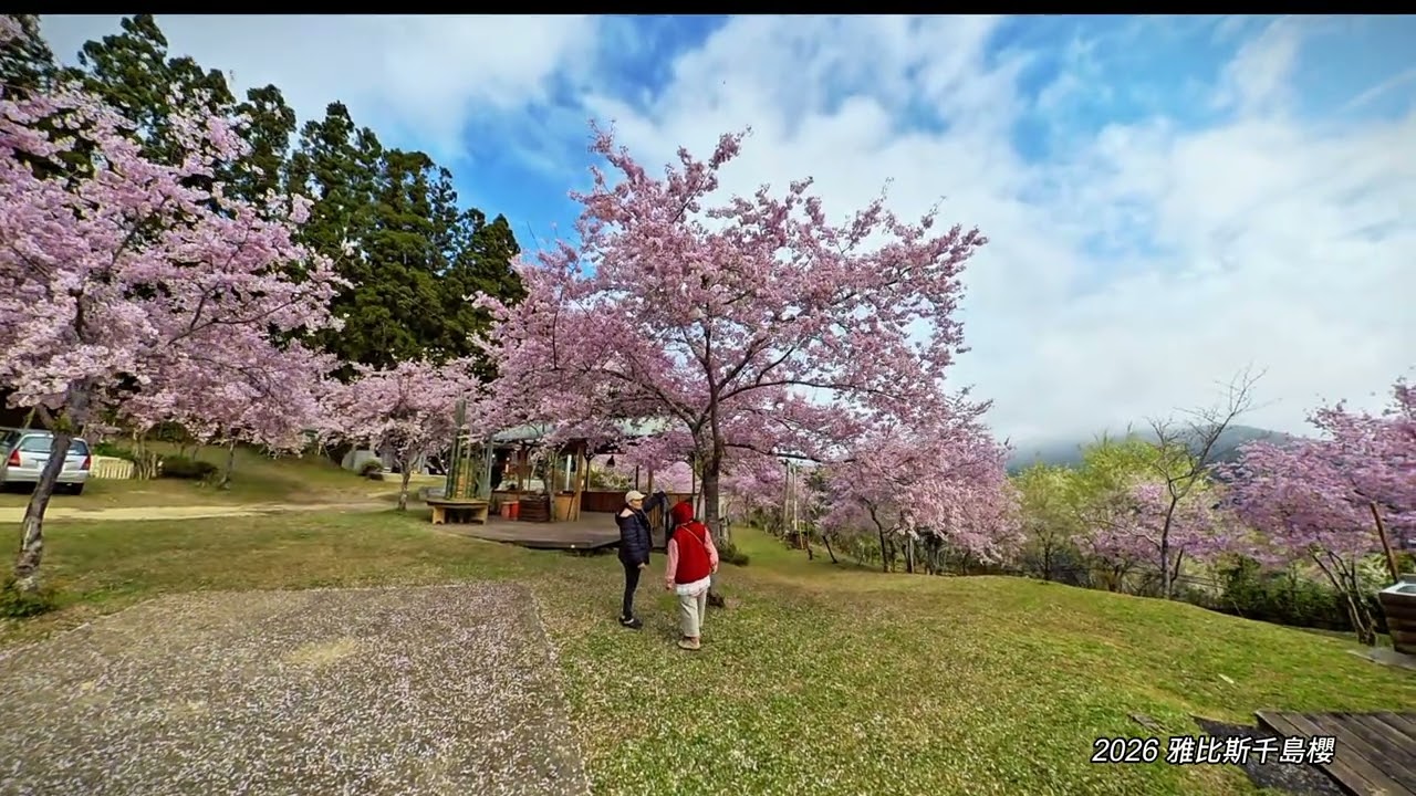 2026 雅比斯千島櫻360 X5