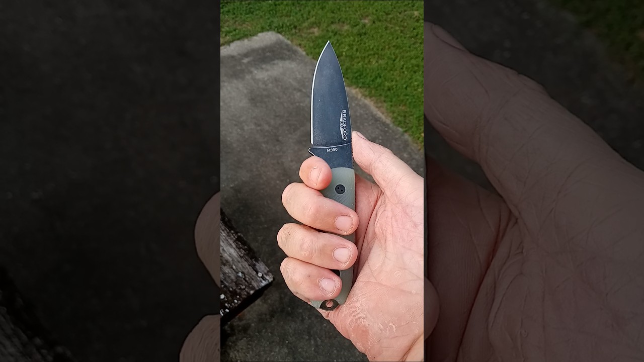 today's carry, the ole guardian 3.2 