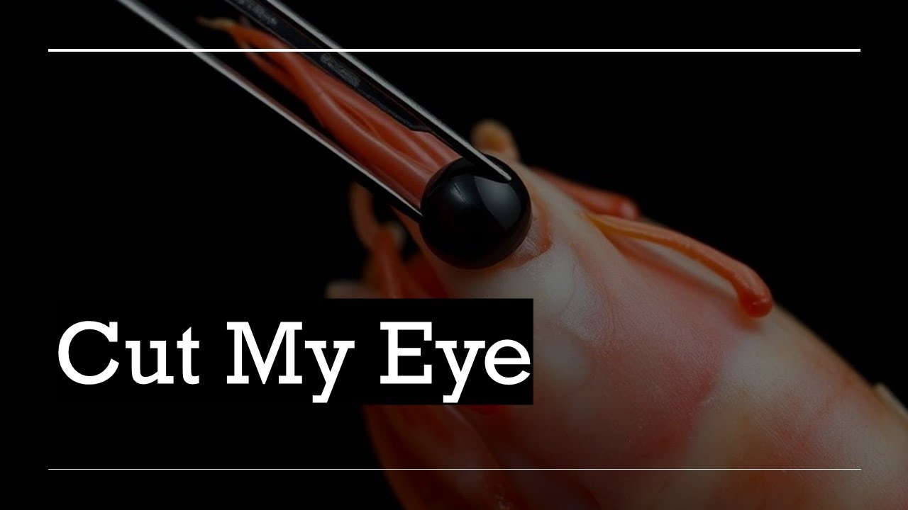 They Cut Shrimp’s Eyes to Make Money – The Dark Truth #asmr #aquarium