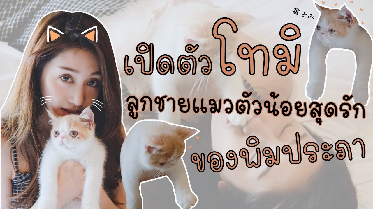เมื่อพิมรับน้องแมวมาเลี้ยงเป็นครั้งแรก! | พิมประภา | พิมนิยม