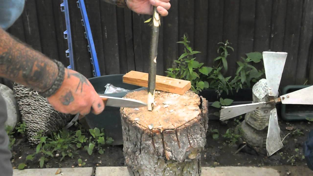 THE JACKLORE THROUGH ITS PACES