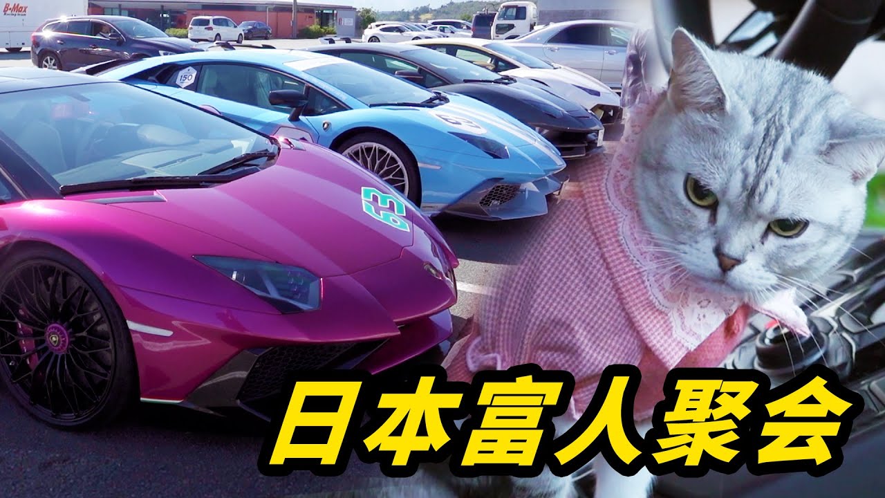 潛入頂級富人聚會，活得還不如貓？