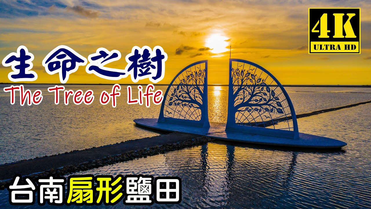 【空拍攝影】扇形鹽田   生命之樹  The Tree of Life   朝光前行  向海致敬   Tainan,Taiwan   空拍  4K