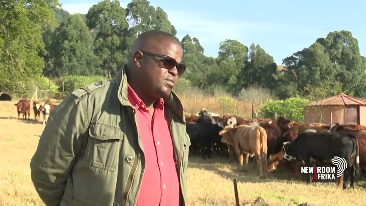 Barriers to entry for black commercial farmers