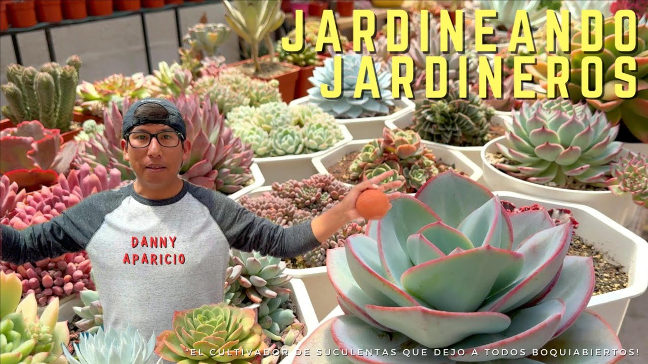 Jardineando Jardineros Visitando a Danny Aparicio