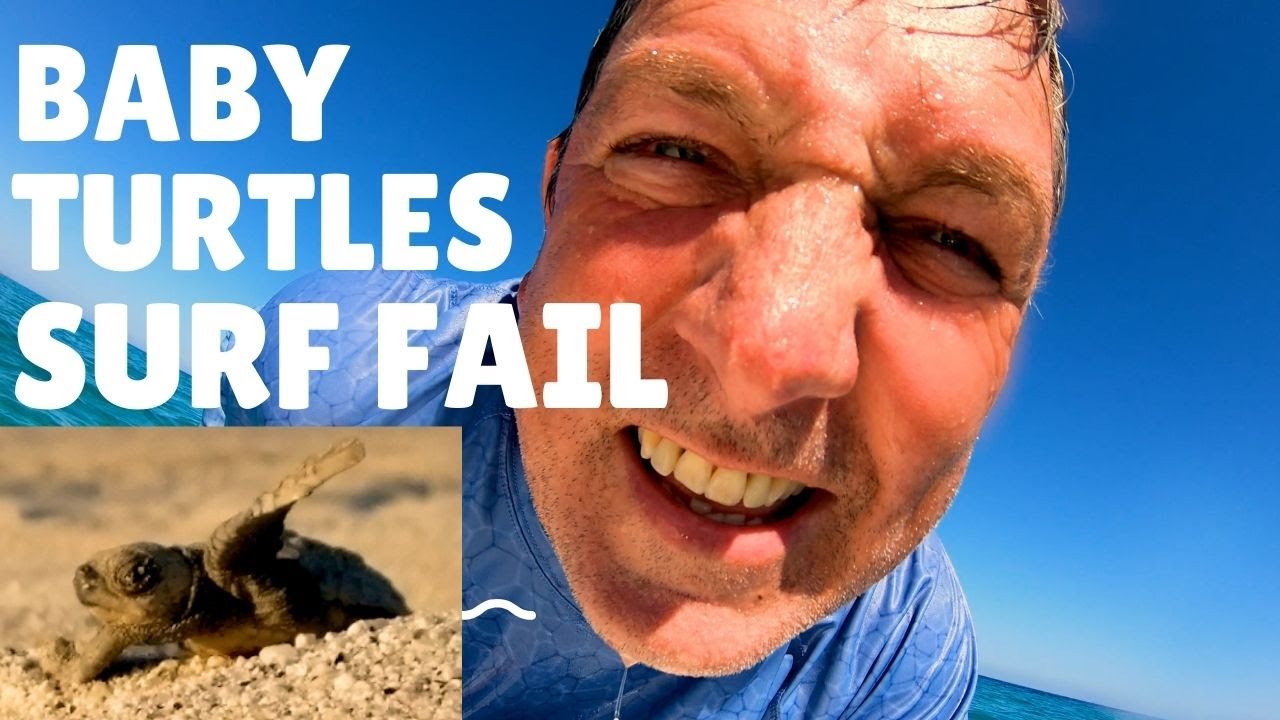 Back in Los Barriles, Baby Turtles & Surf Fail | The Motorhome Experiment
