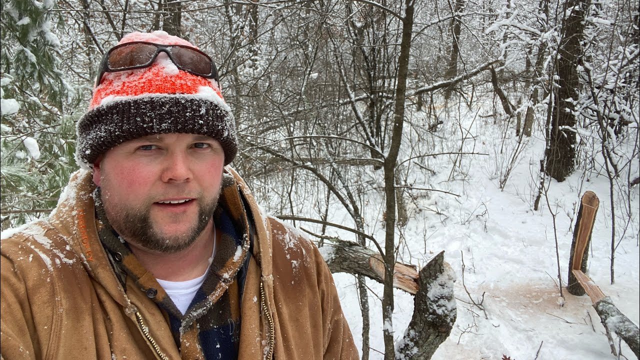 2/20/26- Hinge Cuts and Deer Bedding