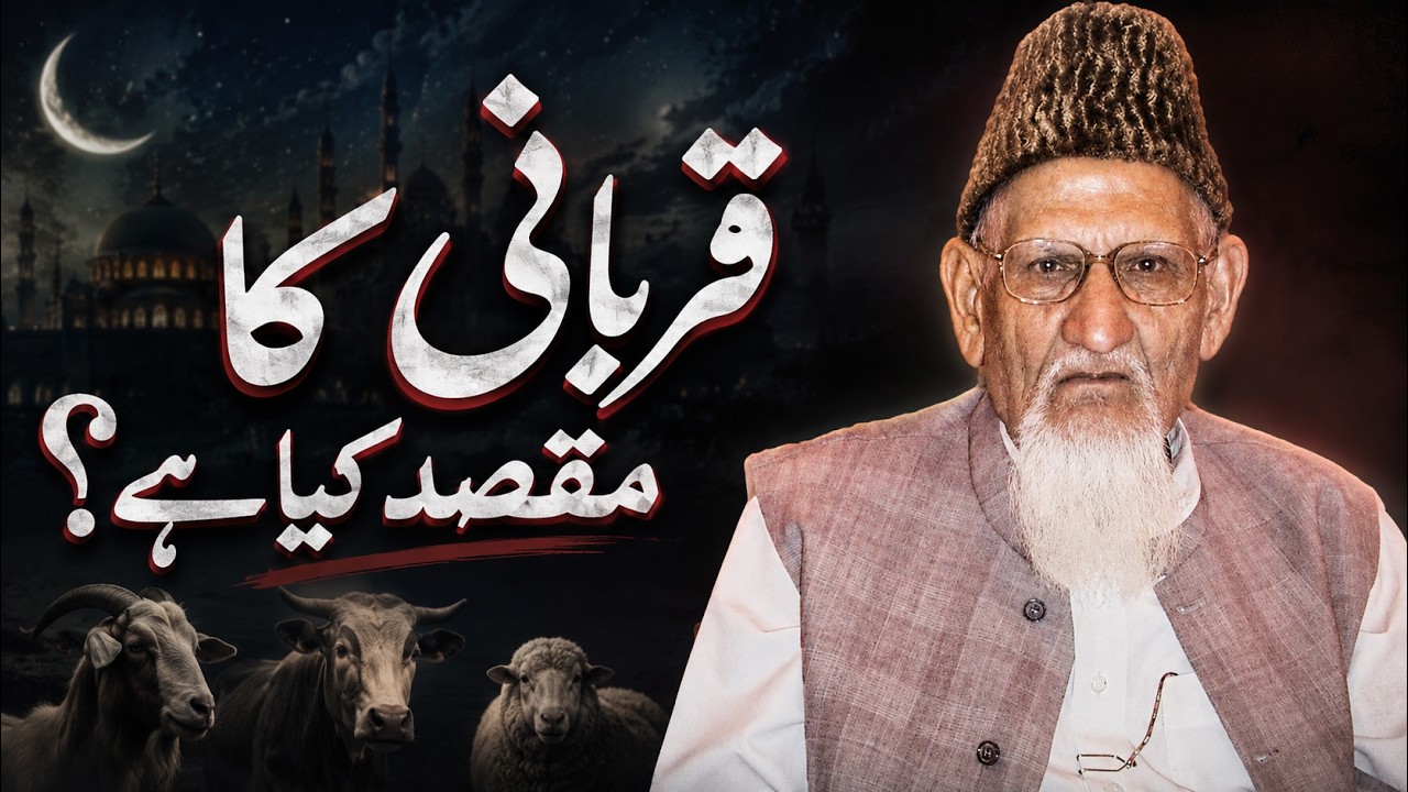 What Is the Real Purpose of Qurbani?