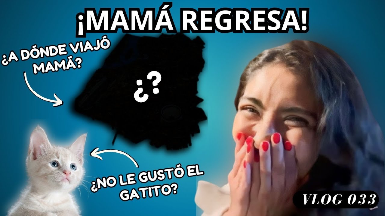 ¡MAMÁ REGRESA! ¿NO QUISO AL GATO? - ABANDONADOS parte 2 | MIRANDEANDO Vlog 033
