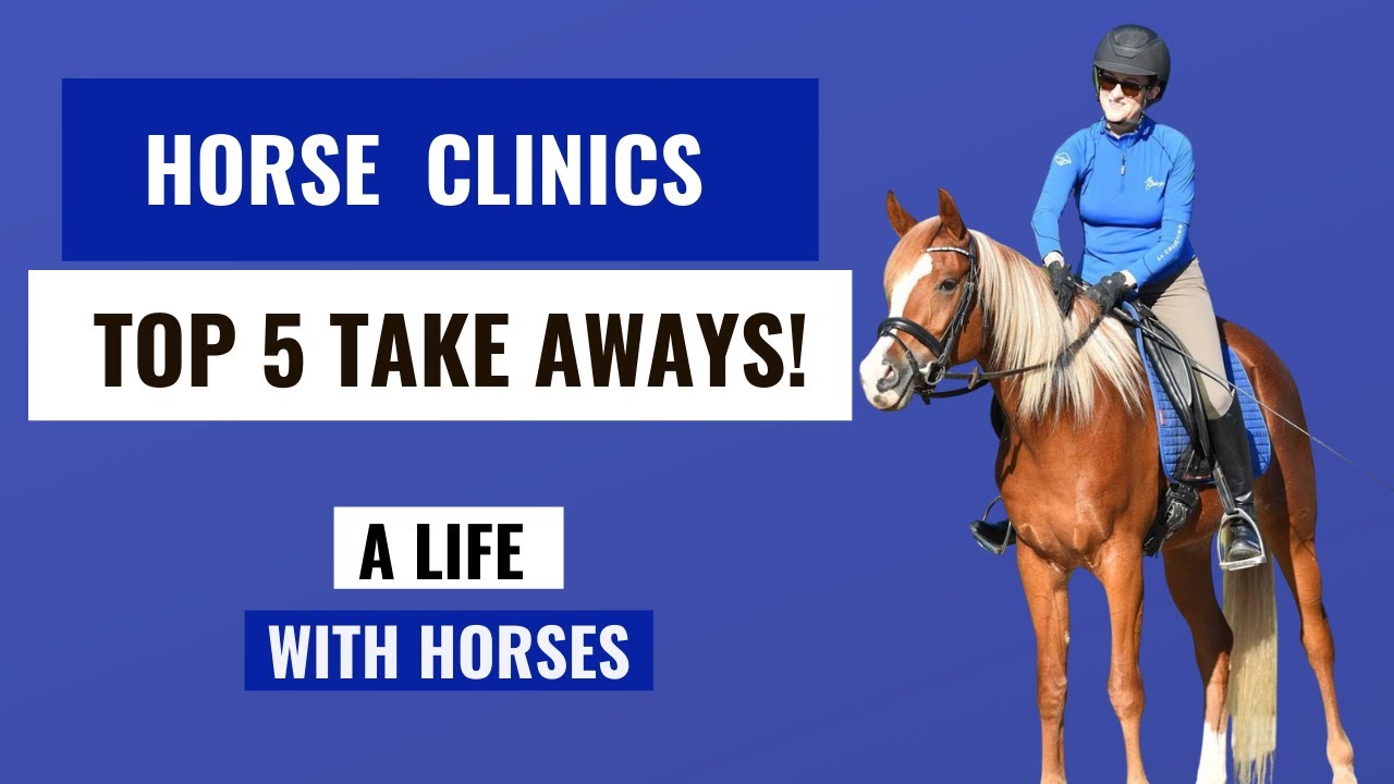 HORSE RIDING Clinics-Top 5 Lessons Learned