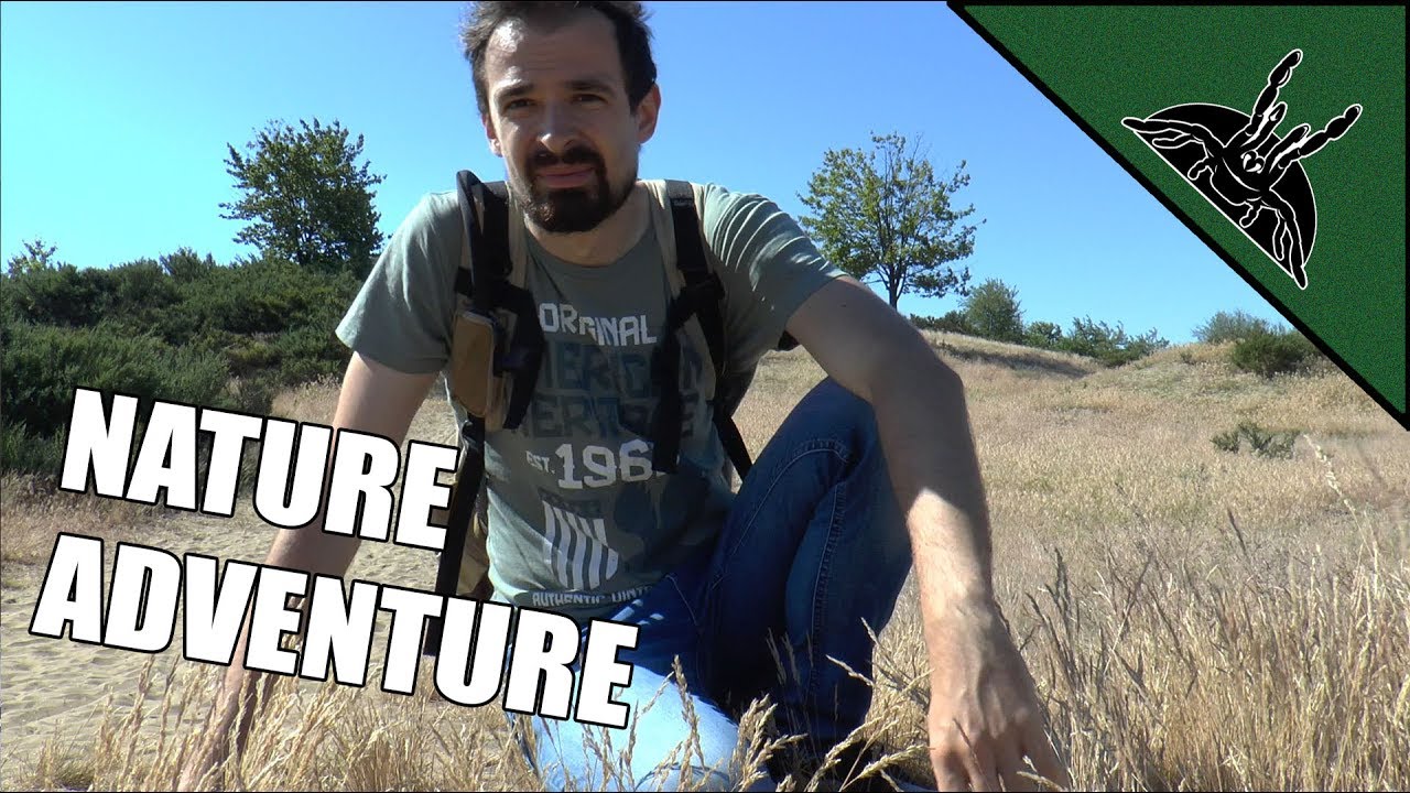 Search for a RARE SPIDER - Đurđevečki Peski