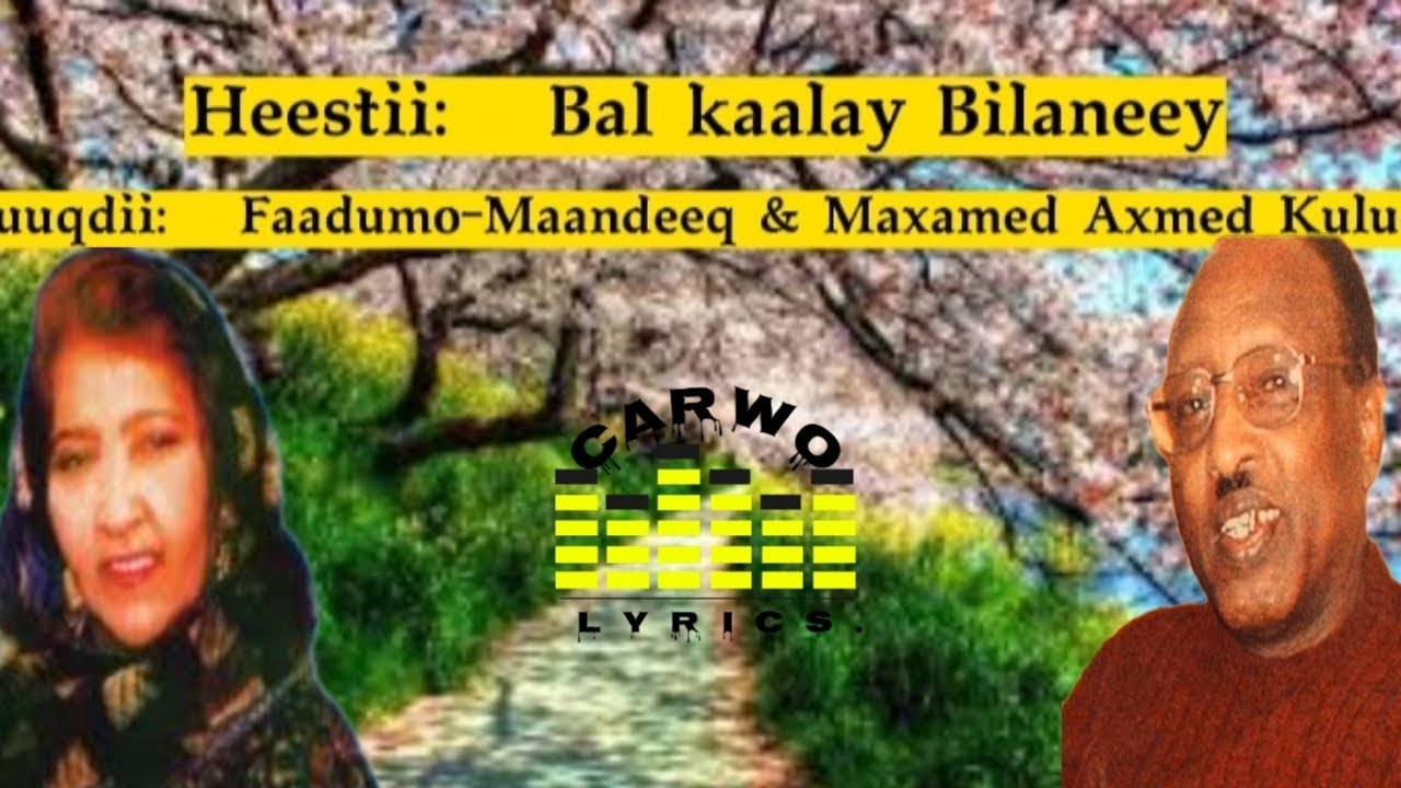 Maxamed Axmed Kuluc & Faadumo Cabdilaahi Maandeeq|| Bal kaalay Bilaneey|| Carwo Lyrics.
