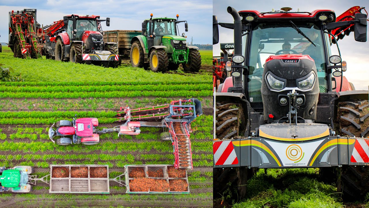 TRACTORBUMPER FRONTGEWICHTE bei der KAROTTENERNTE | Dewulf | Case | John Deere | New Holland