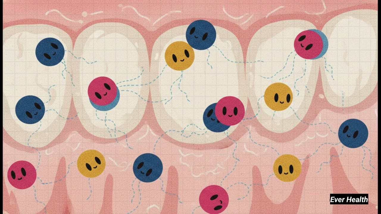 TOOTH-KILLING BIOFILM: PLAQUE ANATOMY AND ITS DESTRUCTION PROTOCOL