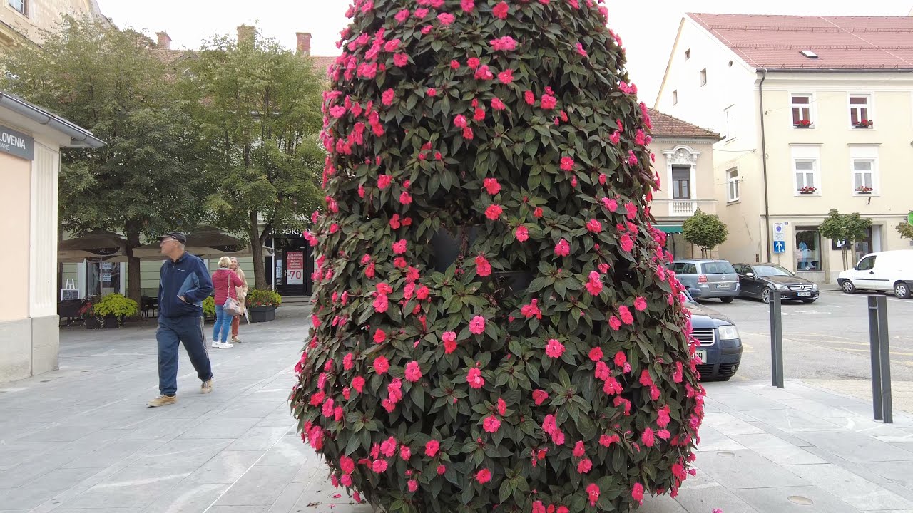 Walk Tour of Slovenia 2021 4K Celje Part two