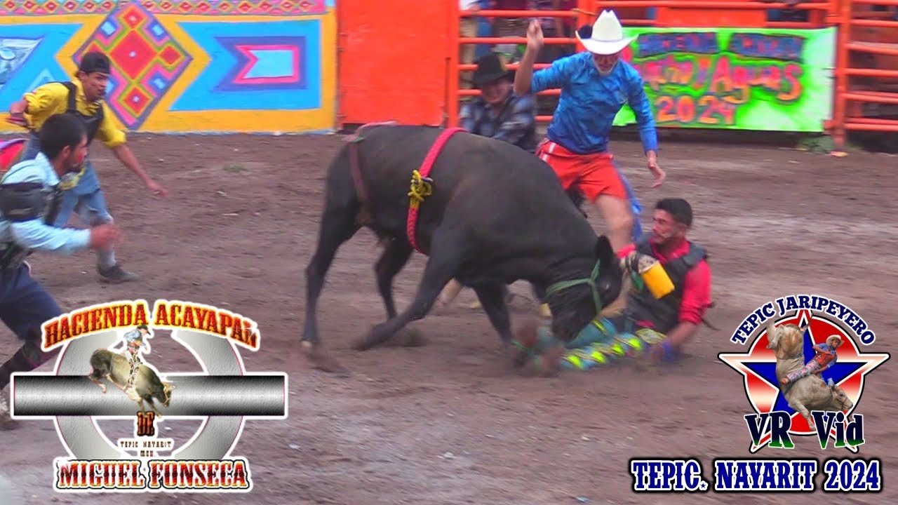 ¡¡¡AYUDEN AL JINETE!!! PRIMER ELIMINATORIA TORNEO DE TOROS RANCHO DE AGUAS 2024