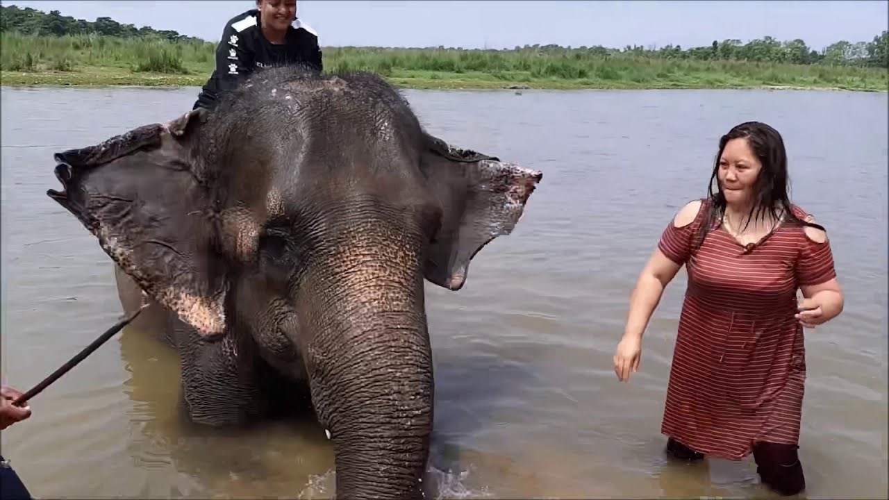 CHITWAN NATIONAL PARK/ ELEPHANT and CROCODILE BREEDING/ELEPHANT BATHING NEPAL 🇵🇭filipinA n Nepal