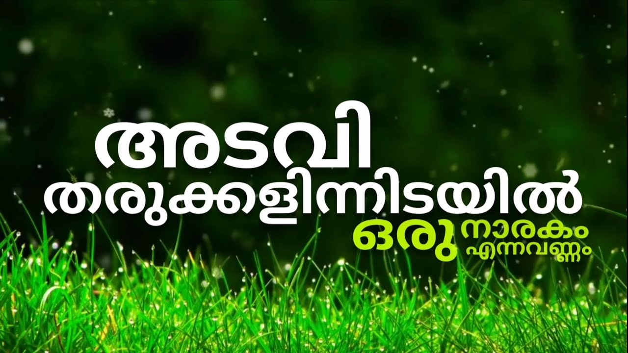 Adavi Tharukkalin Idayil | Malayalam Christian Song | Lyrical Video