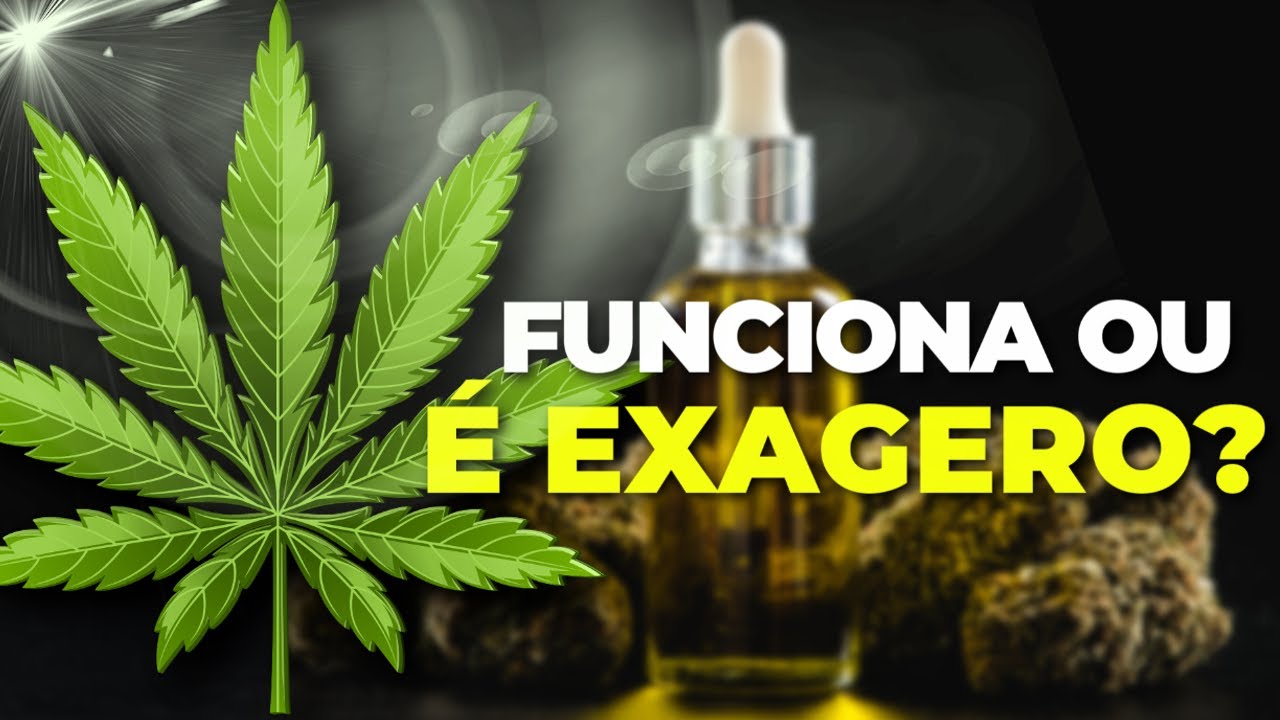 A POL&Ecirc;MICA PLANTA QUE CURA DOEN&Ccedil;AS