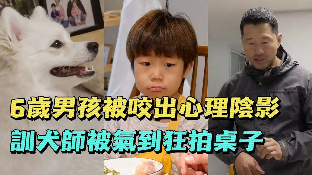 6歲男孩被寵物狗當成玩物，父母卻不管不顧，訓犬師直呼看不下去了