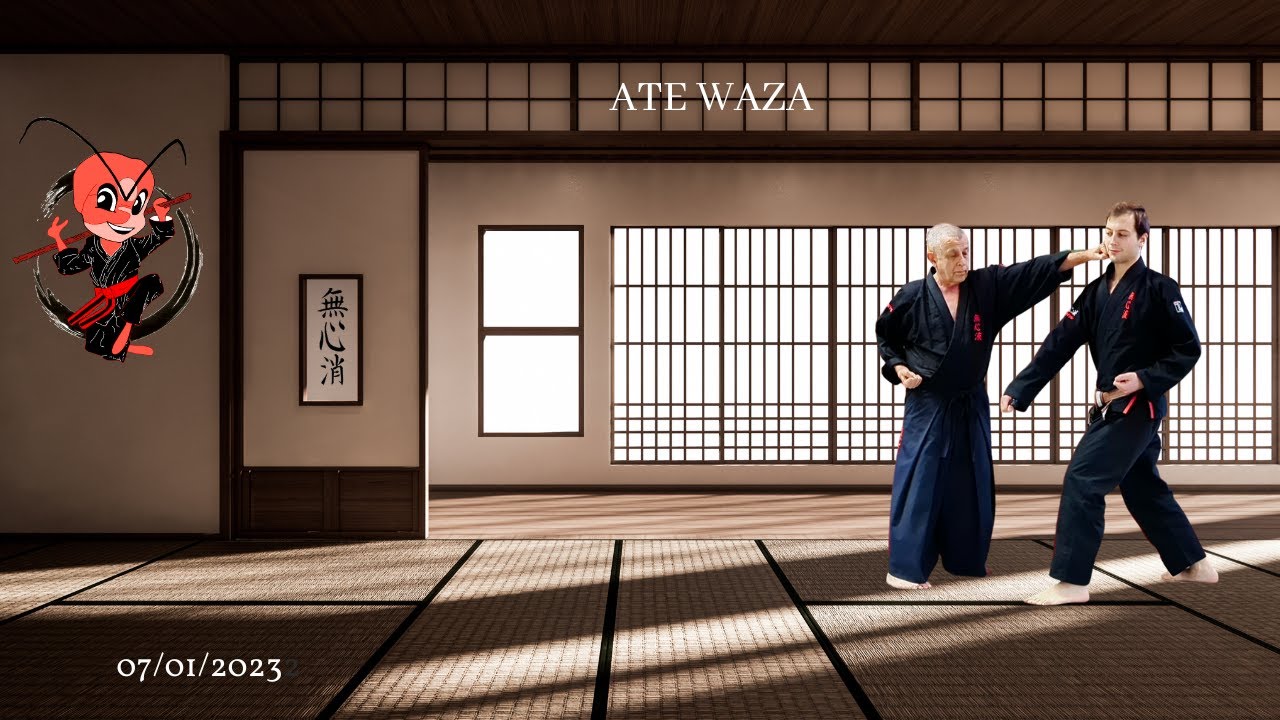 Mushin ryu Ju jitsu: ate waza.
