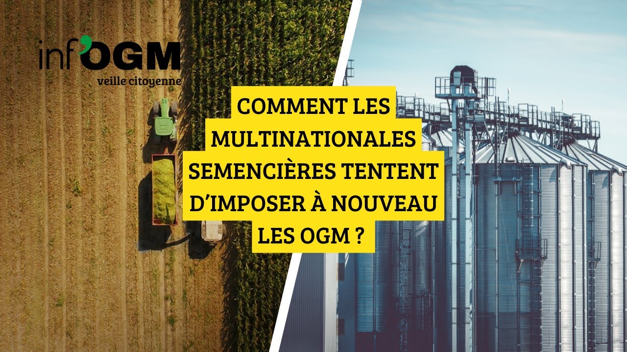 Comment les multinationales semencières tentent d'imposer à nouveau les OGM ?