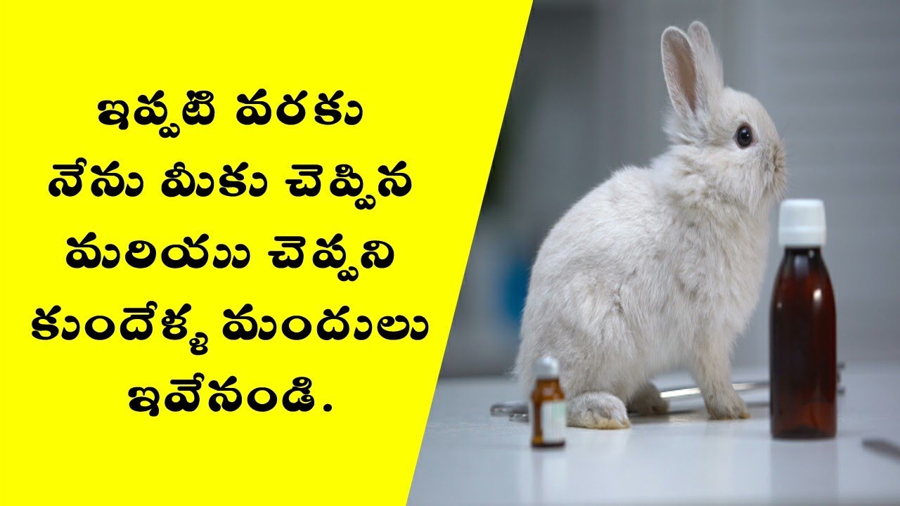 Rabbit medicines || Telugu || DS Rabbit Farm