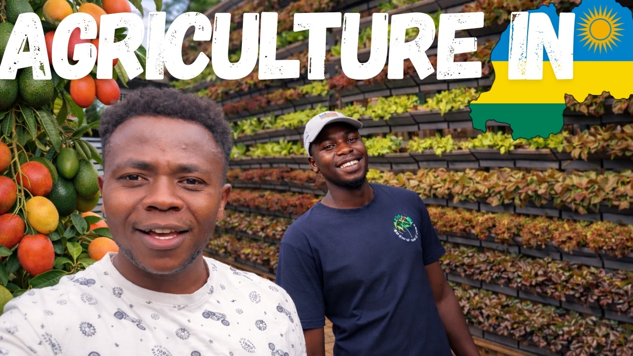 Rwanda Vivasayam | Garden of Eden Produce, Kigali...