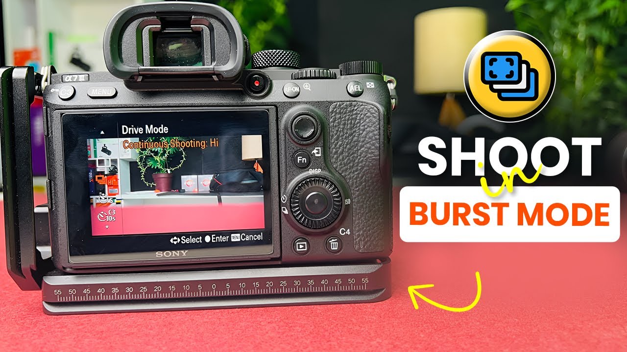 Capture Bulk Photos at Once on Using Your Sony Alpha Burst Mode