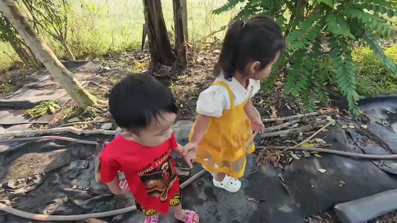 Đón TẾT TÂY 1/1/2026 Kiểu Mới… Tranh Thủ Làm Việc Nhà Ngày Lễ
