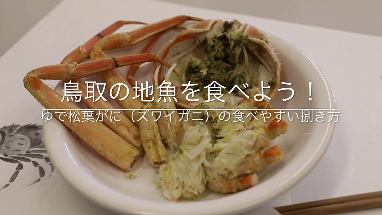 鳥取の地魚を食べよう！「ゆで松葉がに（ズワイガニ）の食べやすいさばき方」