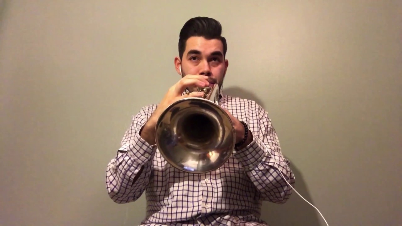 You Raise Me Up- Trumpet Cover