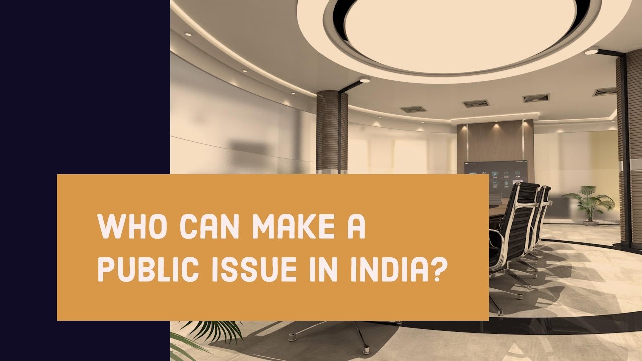 Who is eligible to make a public issue in India?