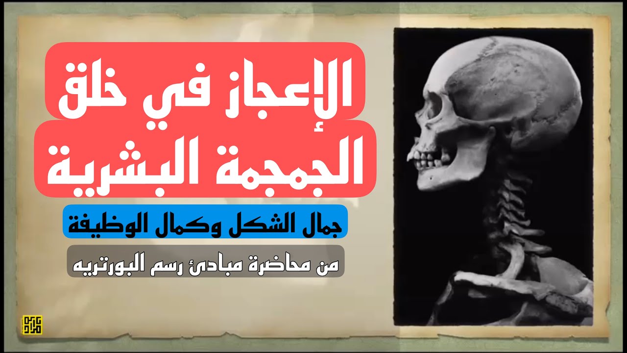 الإعجاز في خلق الجمجمة البشرية - من محاضرة مبادئ رسم البورتريه.