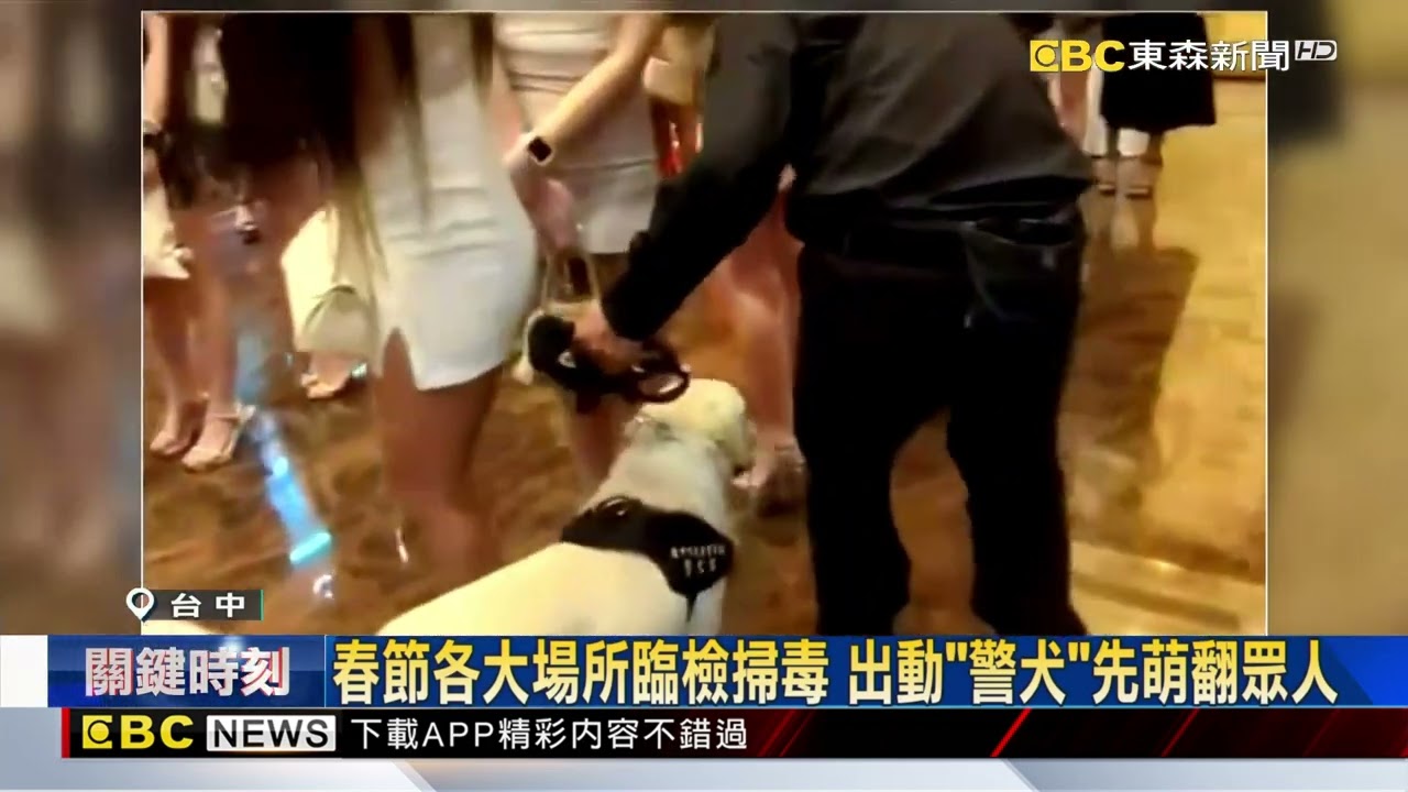 火辣小姐排排站 警犬穿梭細肩長腿間緝毒@newsebc