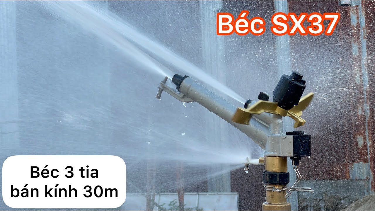 B&eacute;c SX37 - b&eacute;c tưới phun mưa 3 tia nước cực đẫm ren 49 bằng đồng