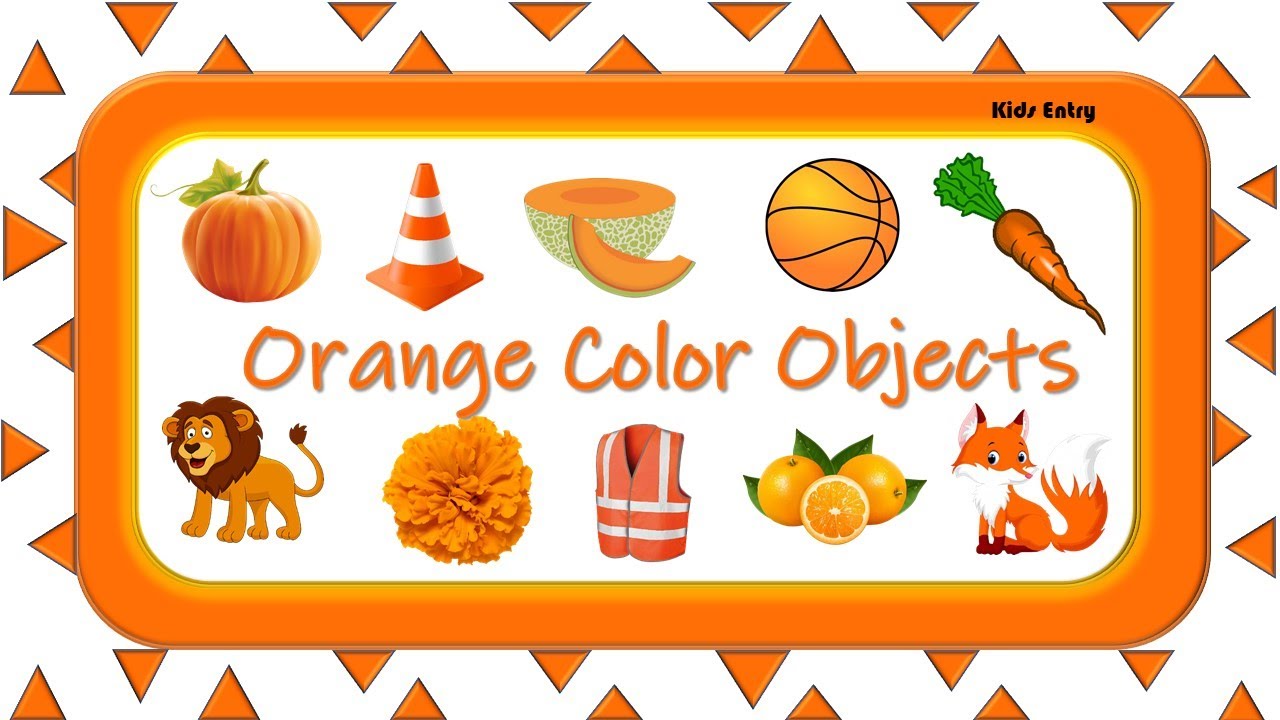 Orange Color Objects | Learn Color | Things that are in Orange color | Orange Color - Kids Entry